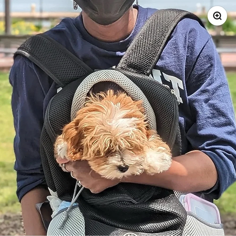 Sports Dog Backpack - NWOT